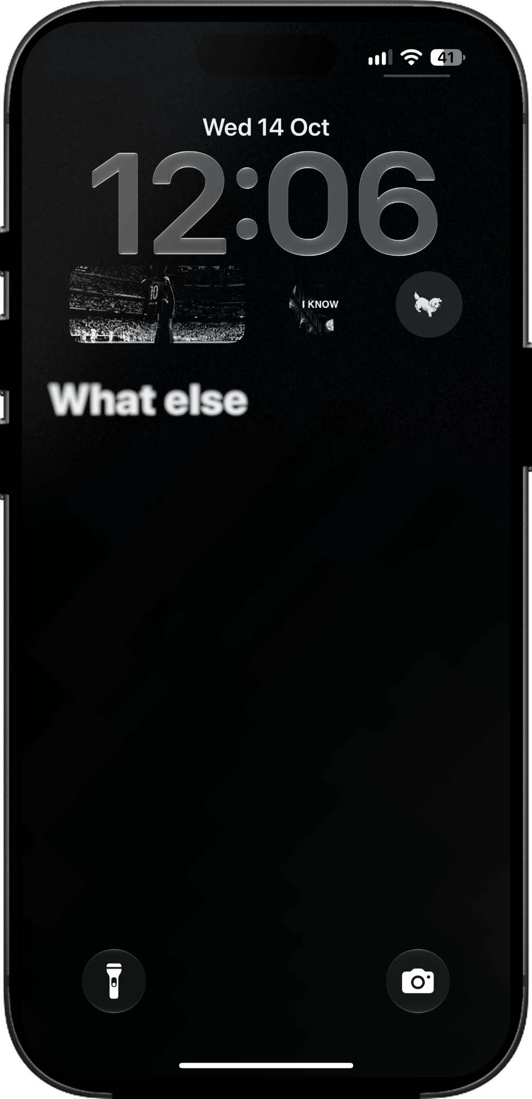 WIDGET on an iPhone lockscreen